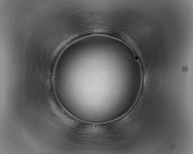 X0000113330249200909211227