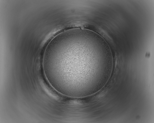 X0000113330250200909211227
