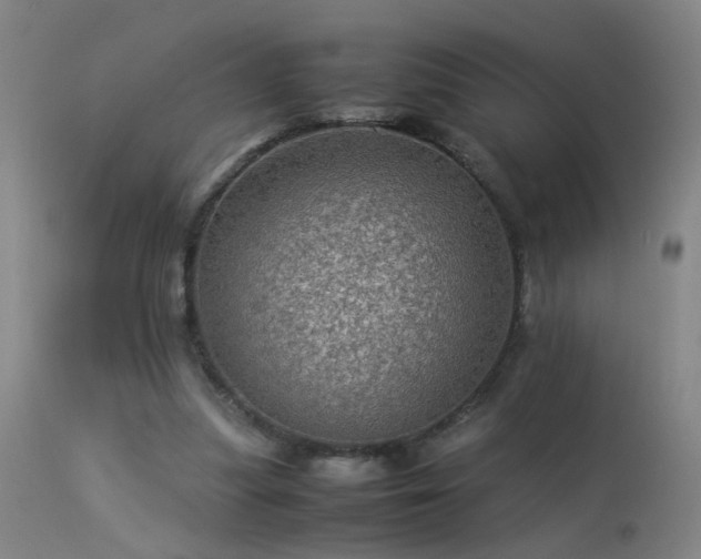 X0000113330251200909211227