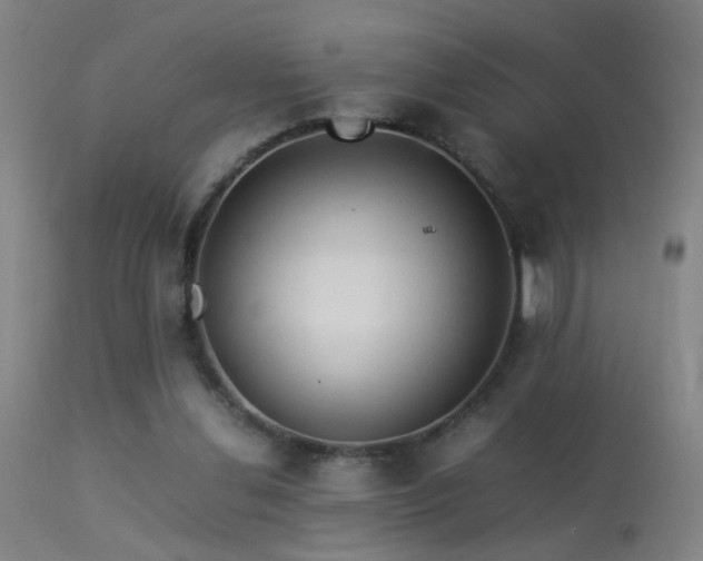 X0000113330252200909211227
