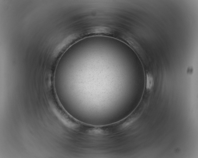 X0000113330253200909211227