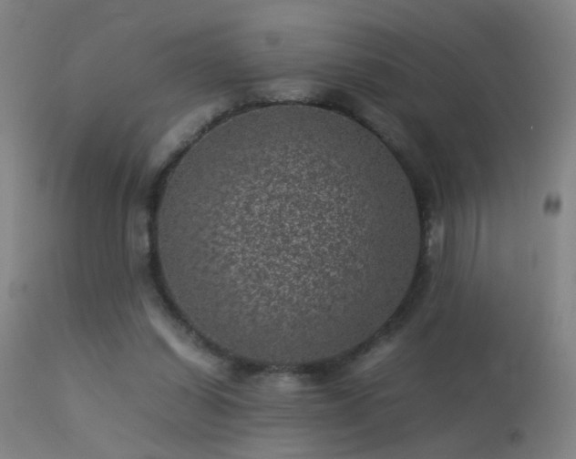 X0000113330254200909211227
