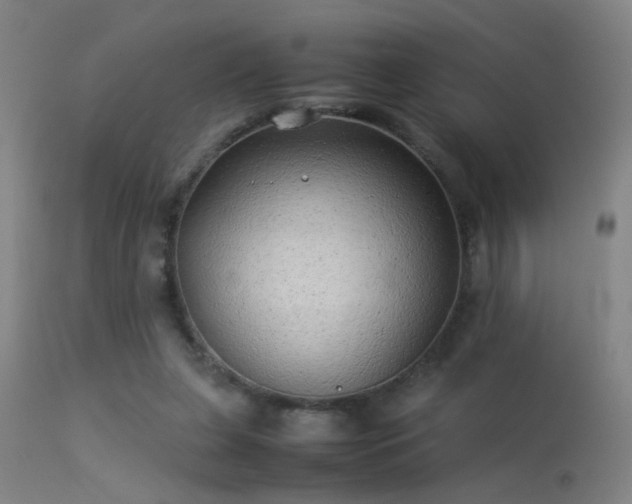 X0000113330255200909211227