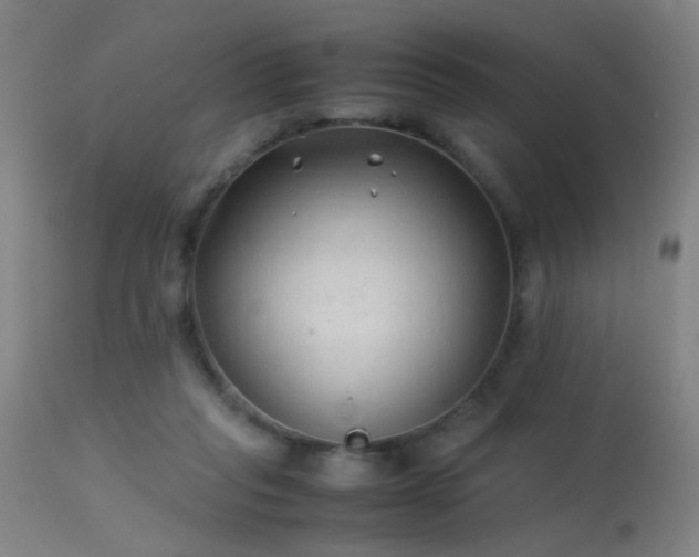 X0000113330261200909211227