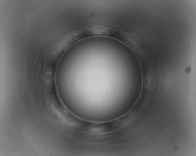 X0000113330263200909211227