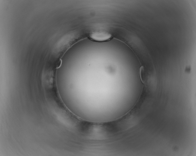 X0000113330264200909211227