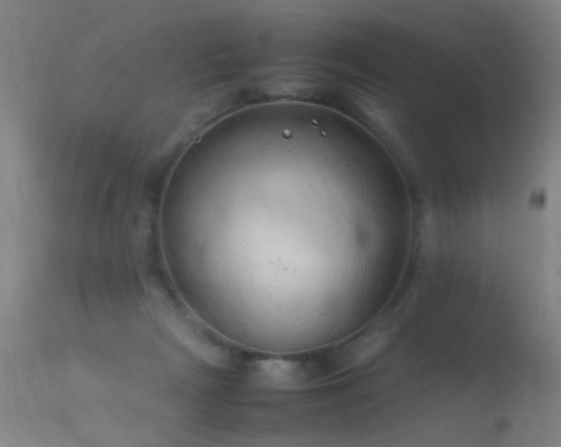 X0000113330265200909211227