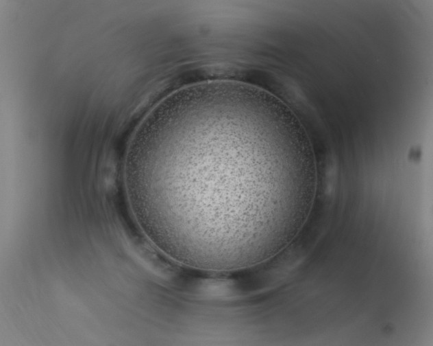 X0000113330266200909211227