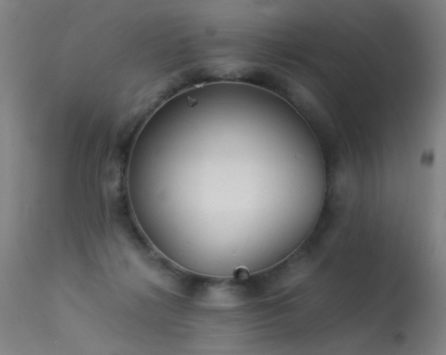 X0000113330268200909211227