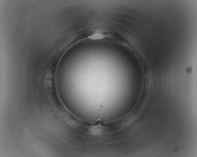 X0000113330269200909211227
