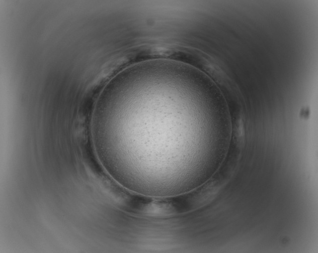 X0000113330270200909211227
