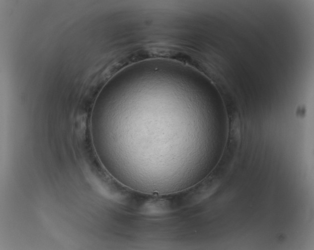 X0000113330271200909211227