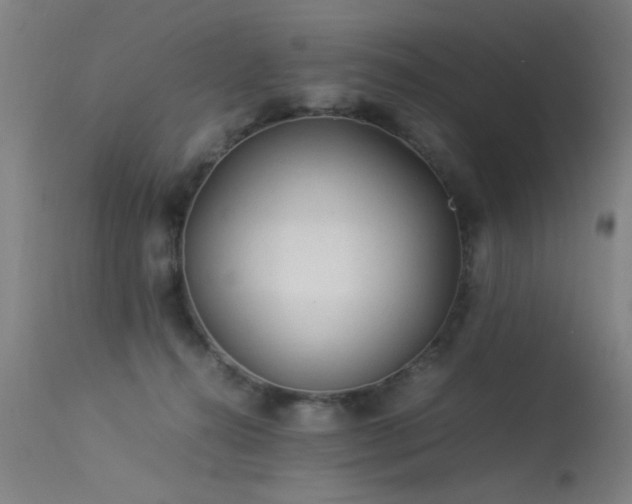 X0000113330272200909211227