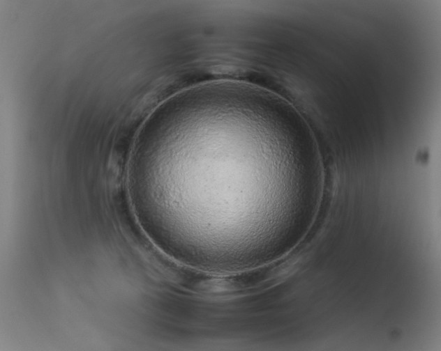X0000113330273200909211227
