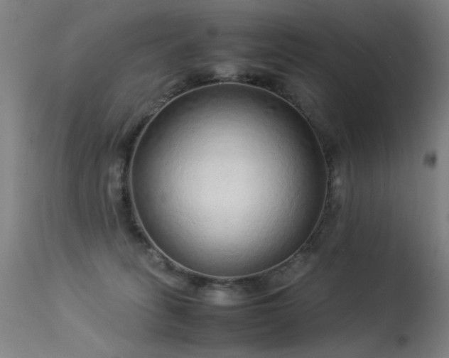 X0000113330275200909211227