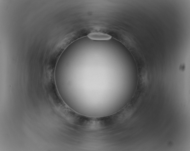 X0000113330276200909211227