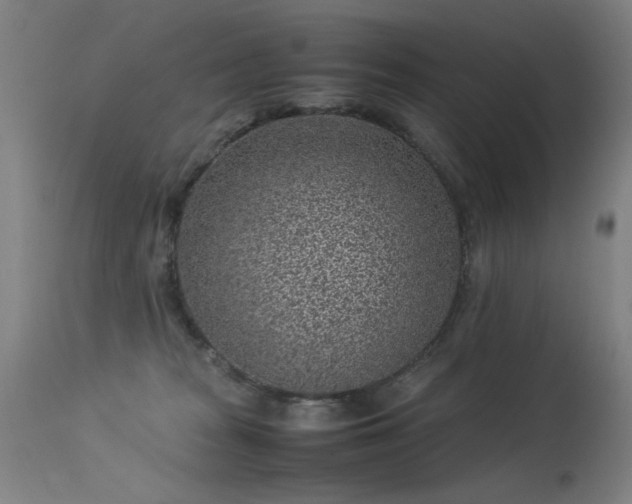X0000113330277200909211227