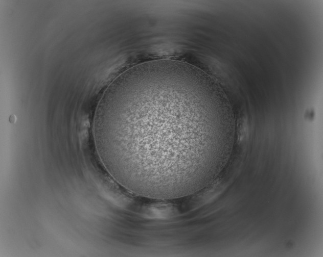 X0000113330279200909211227