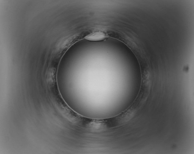 X0000113330280200909211227