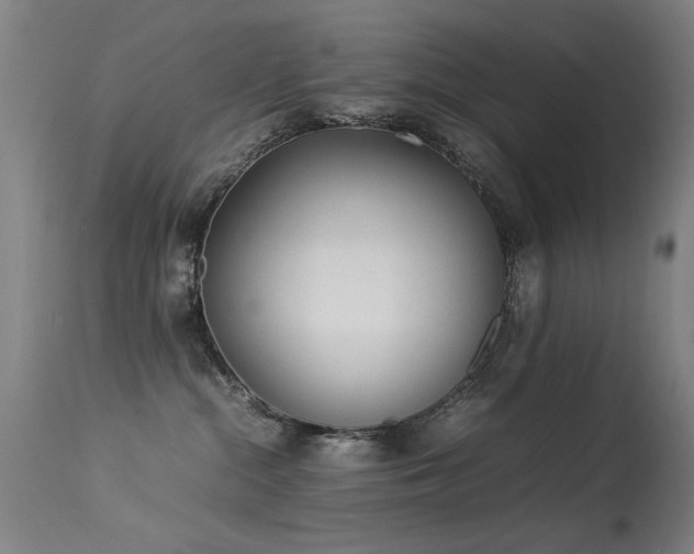 X0000113330284200909211227
