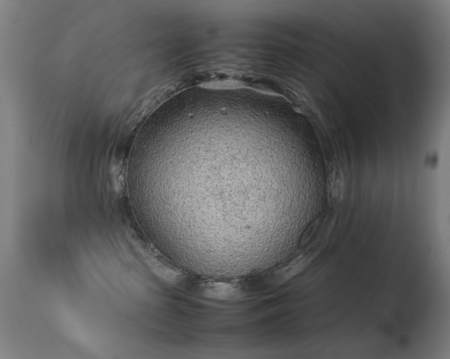 X0000113330285200909211227