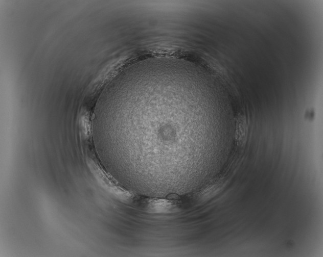 X0000113330287200909211227
