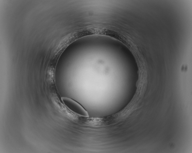 X0000113330288200909211227