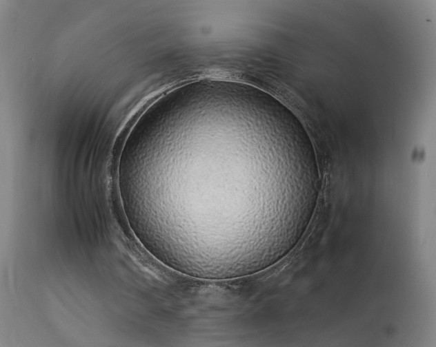 X0000113330290200909211226