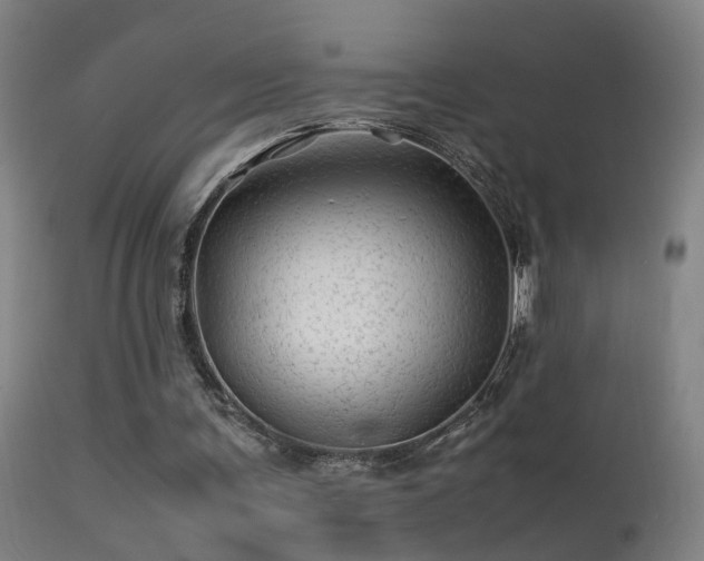 X0000113330291200909211226
