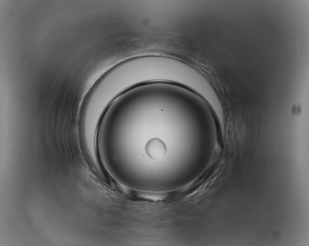 X0000113330292200909211226