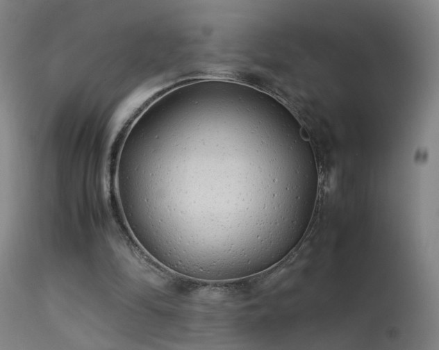 X0000113330294200909211226