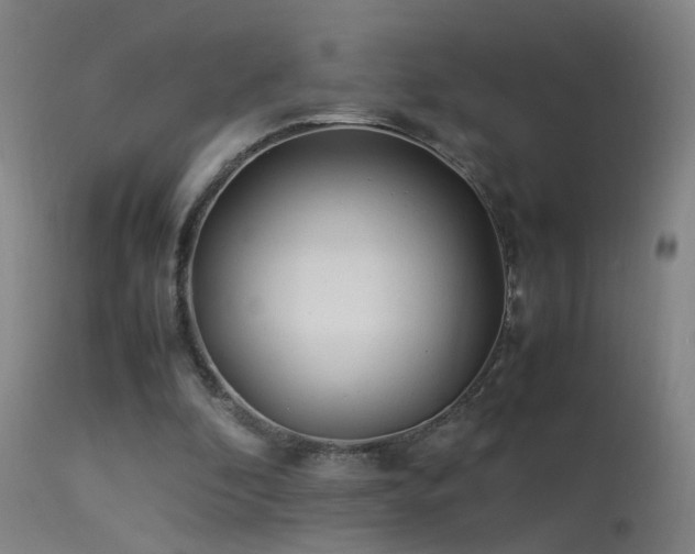 X0000113330296200909211226