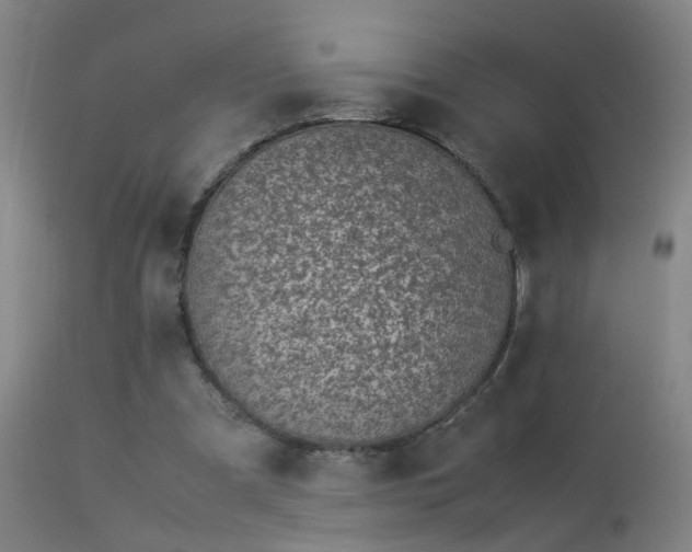 X0000113330297200909211226
