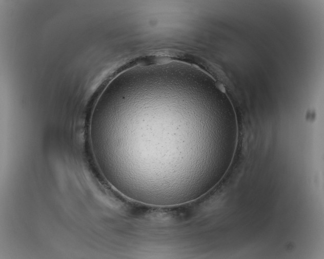 X0000113330299200909211226