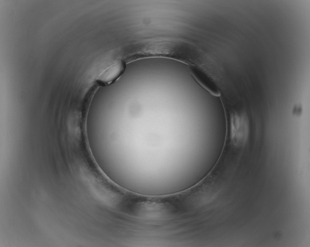 X0000113330300200909211226