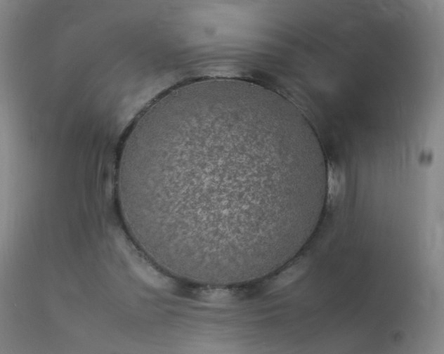 X0000113330301200909211226
