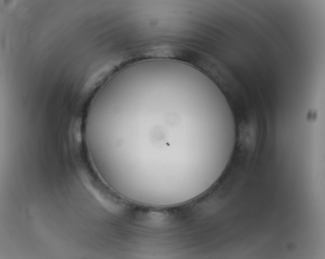 X0000113330302200909211226