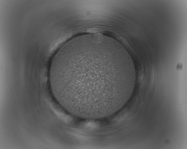 X0000113330303200909211226