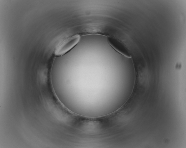 X0000113330304200909211226