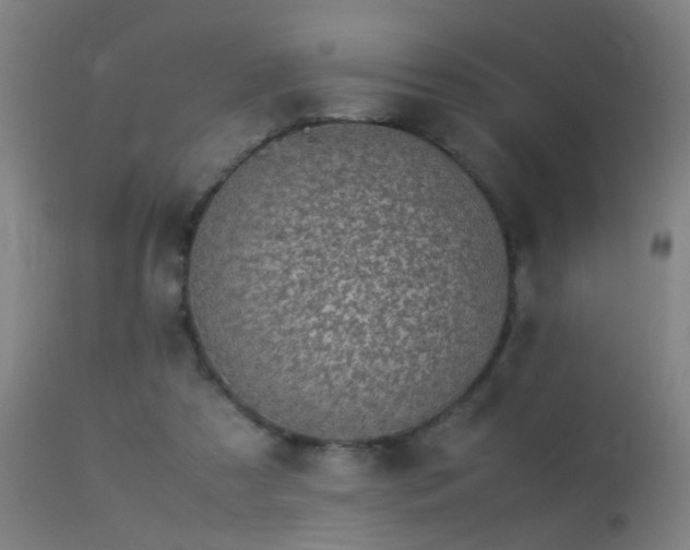 X0000113330305200909211226