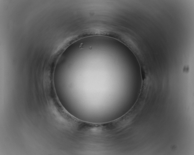 X0000113330306200909211226