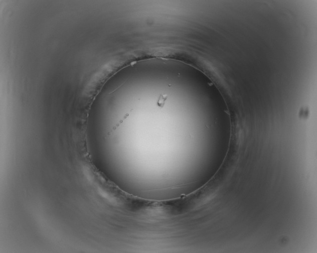X0000113330307200909211226