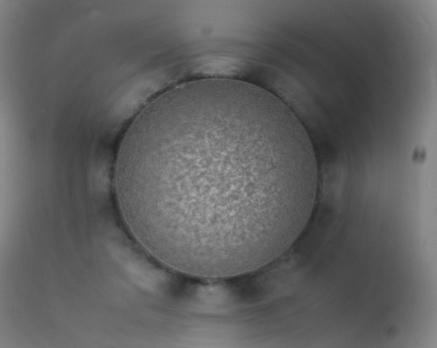 X0000113330309200909211226