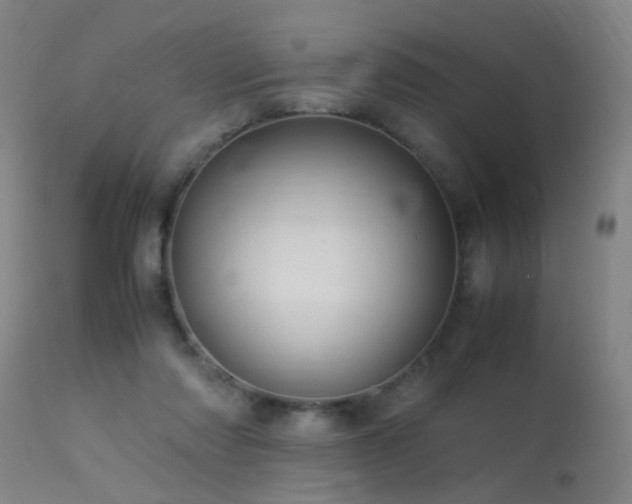 X0000113330310200909211226