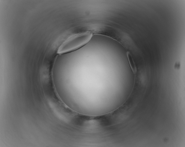 X0000113330312200909211226