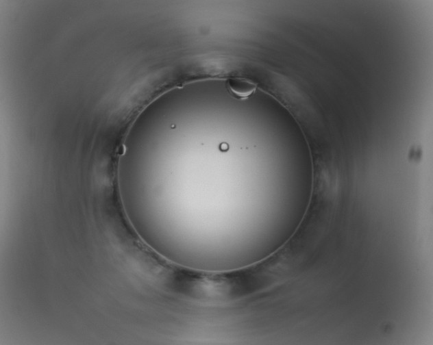 X0000113330317200909211226