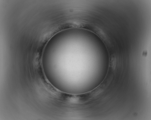 X0000113330318200909211226