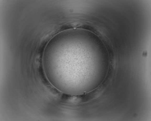 X0000113330319200909211226