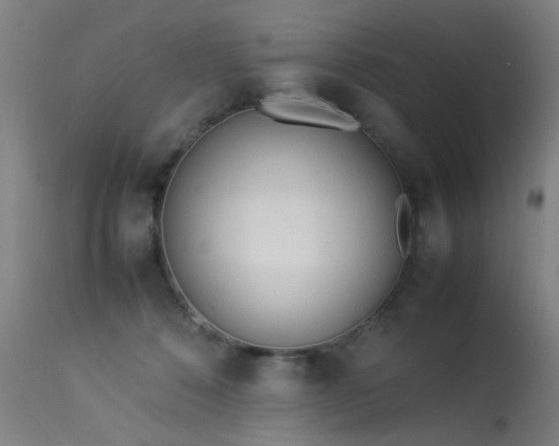 X0000113330320200909211226