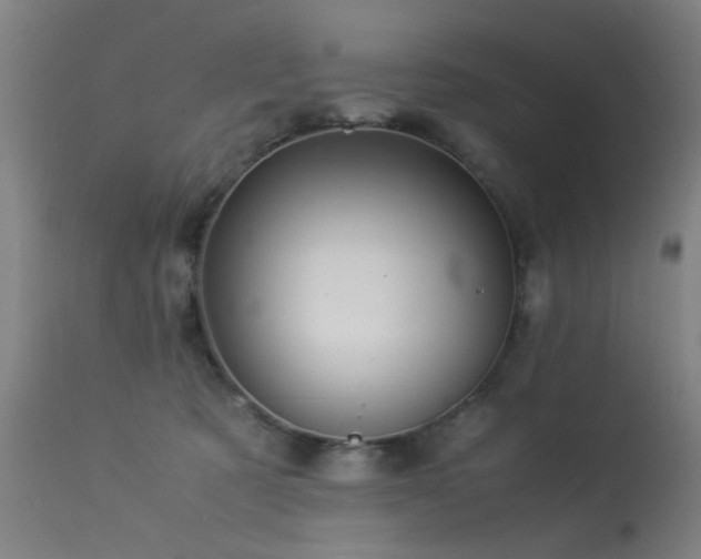X0000113330321200909211226